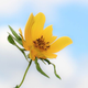 Image for article titled Complementary Colors 1